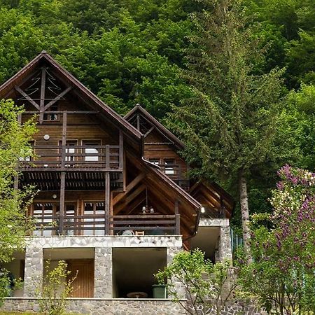 Villa Florile Bucegilor Sinaia Esterno foto