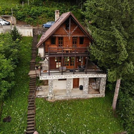 Villa Florile Bucegilor Sinaia Esterno foto