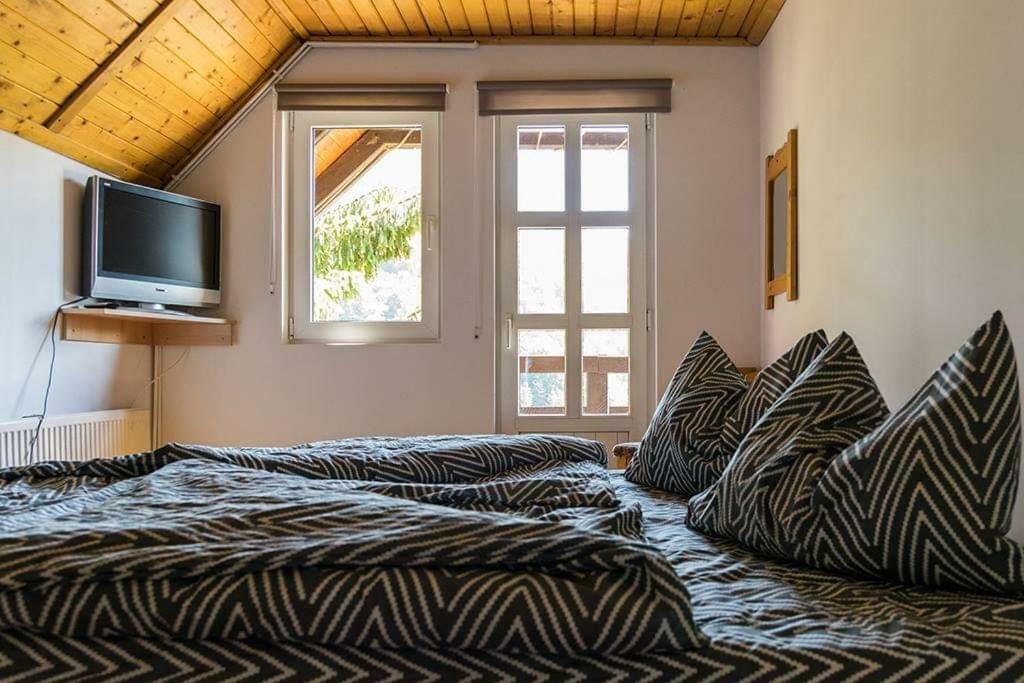 Villa Florile Bucegilor Sinaia Esterno foto