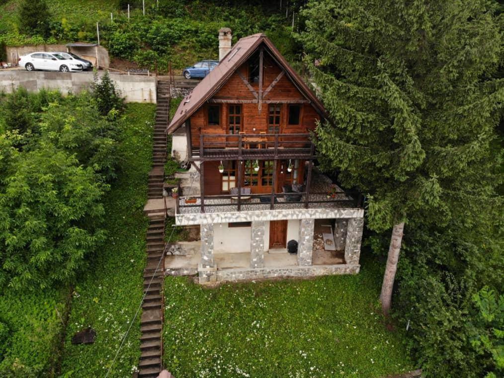 Villa Florile Bucegilor Sinaia Esterno foto