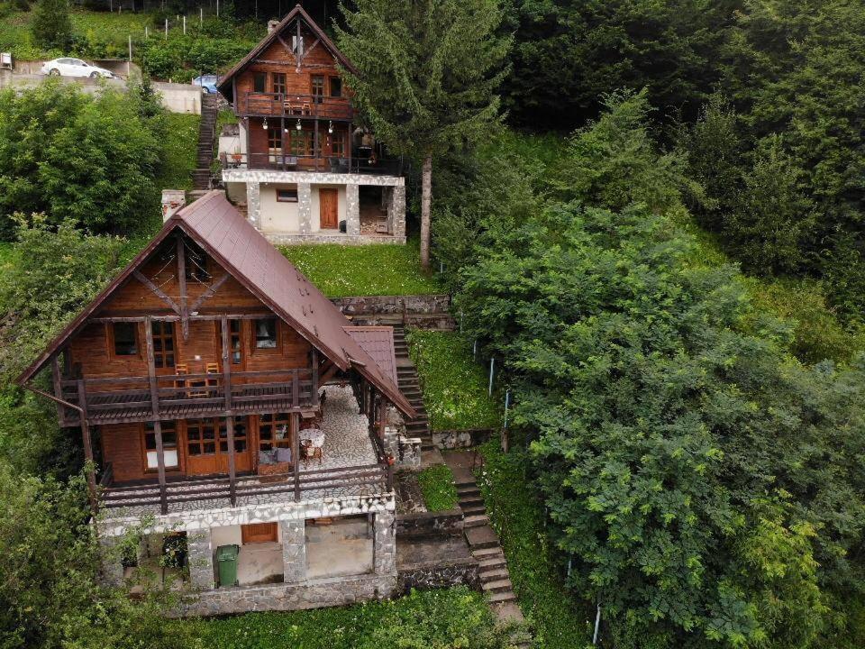 Villa Florile Bucegilor Sinaia Esterno foto