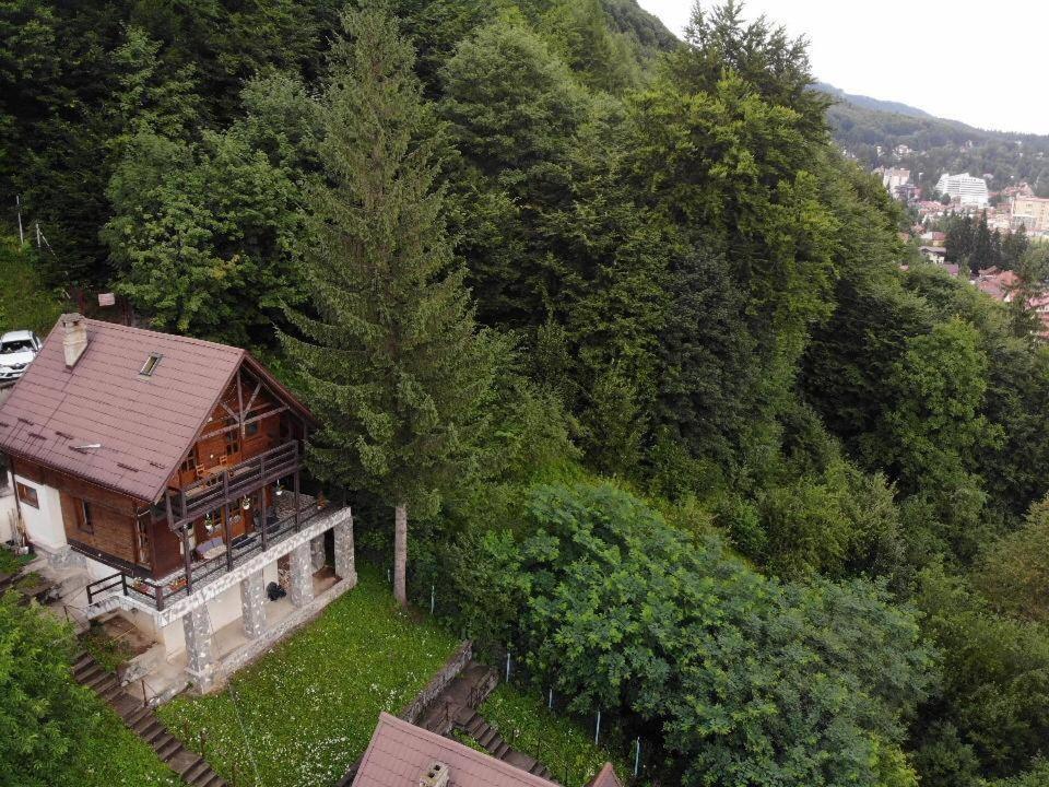 Villa Florile Bucegilor Sinaia Esterno foto